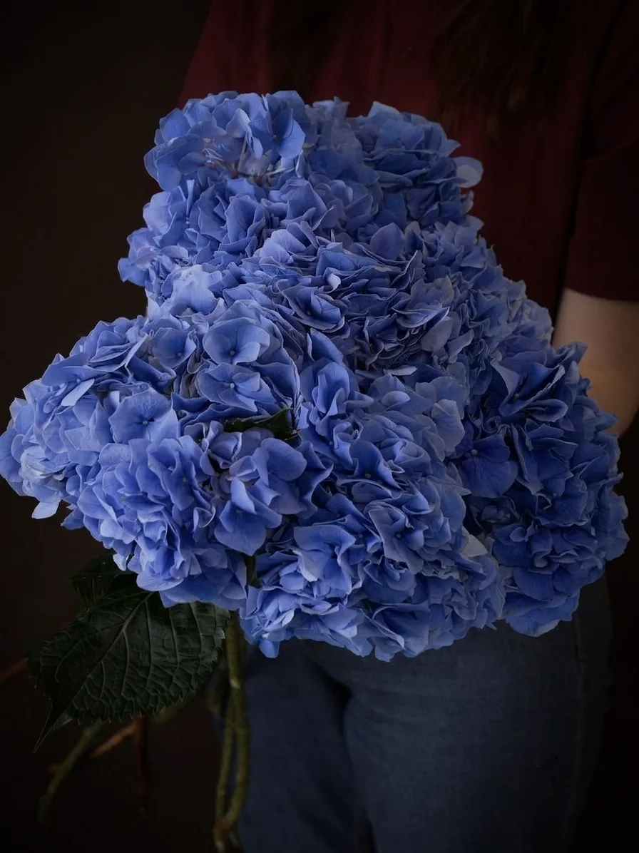 Букет салона Premier Flowers